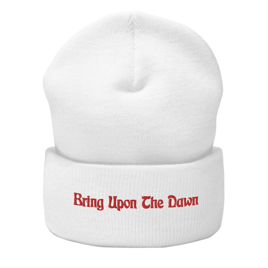 Cuffed Beanie